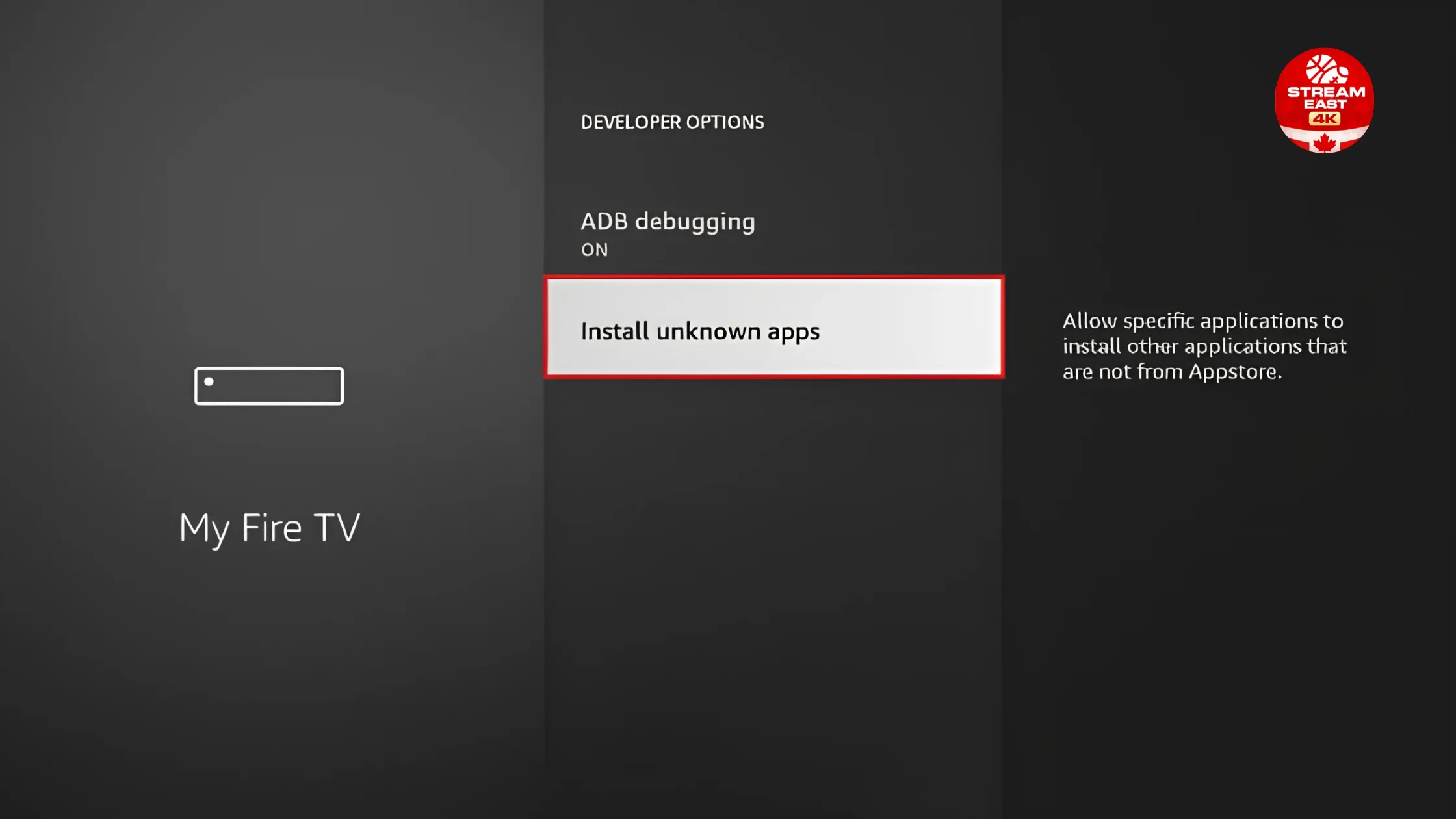 Developer Options